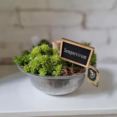 Unique And Luxury With Balcony سراييفو